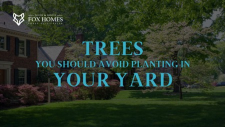 Landscaping Don'ts: Top Trees to Avoid in Your Outdoor Space