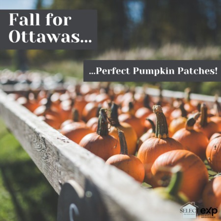 Falling for Fall Festivities:  Ottawa's Perfect Pumpkin Patches 