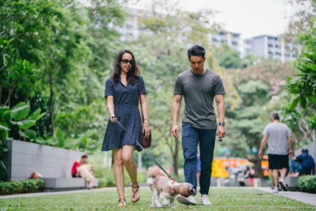 7 Tips for Helping Your Dog Adjust to Living in a New City