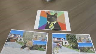 Luxury Real Estate and LOL CATS