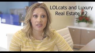 LOLcat Marketing Video episode #2