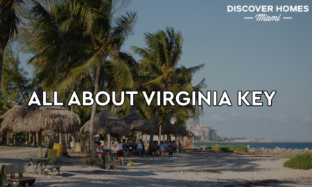 Guide to Miami's Historic Virginia Key Beach Park
