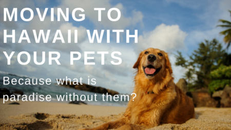 Moving to Hawaii with Pets