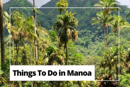 Things To Do in Manoa