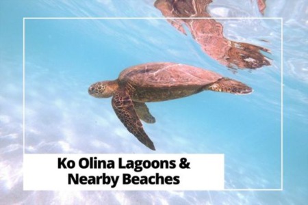 Ko Olina Beach Guide