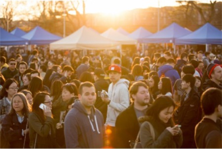 Jackson Heights Spring