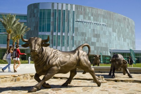 University of South Florida Named America's Fastest-Rising University
