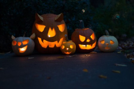 Halloween Light Shows Come To Tampa Bay Area