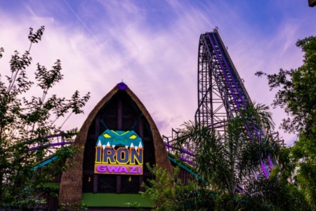 Iron Gwazi Set To Open At Busch Gardens Spring Of 2021