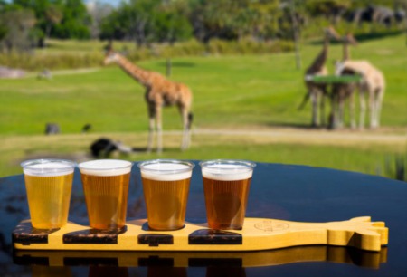 Busch Gardens To Open 'Giraffe' Patio Bar
