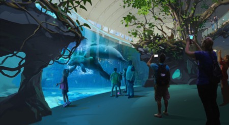 Clearwater Aquarium Planning Huge Expansion