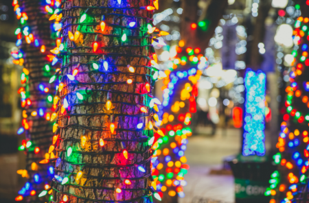 Holiday Light Displays in the Tampa Area! 