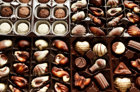 Tampa Bay Chocolate Festival in February