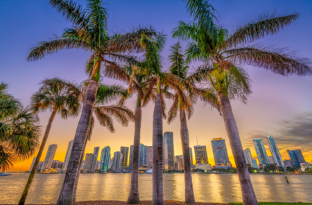 25 Tampa Bay Tours