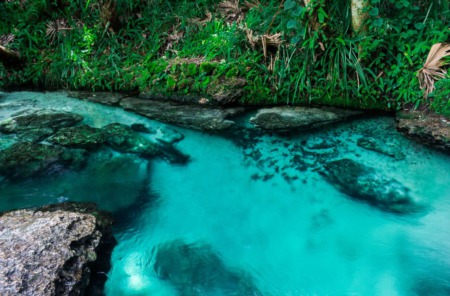Natural Springs to Visit in the Tampa Area