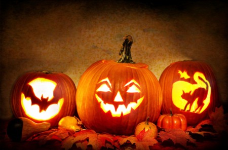 Halloween/Fall Events in Pasco & Hillsborough Counties
