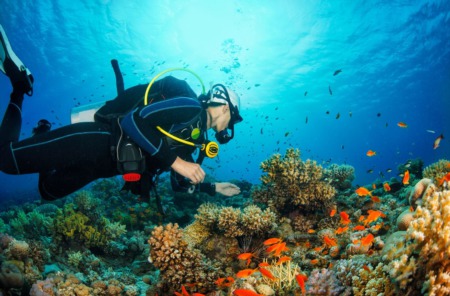 The Florida Aquarium offers Underwater Tours