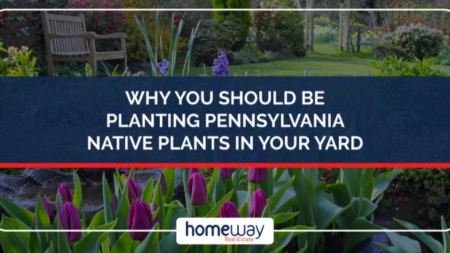 Why You Should Be Planting Pennsylvania Native Plants in Your Yard