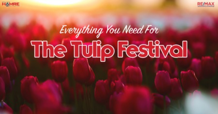 Everything You Need For The 2021 Tulip Festival