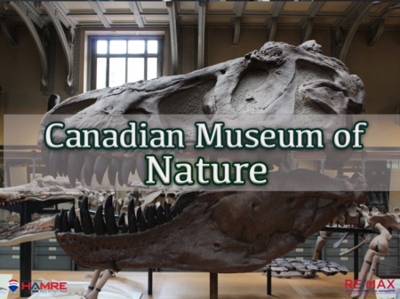 Canadian Museum of Nature