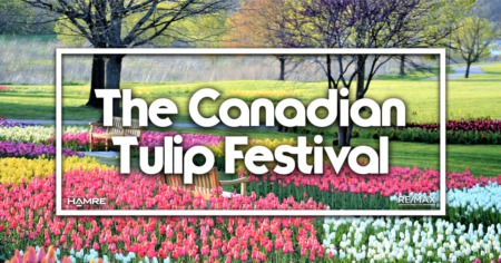 Canadian Tulip Festival Ottawa 2023