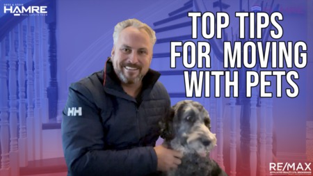 Top Tips For Moving With Pets - Ottawa