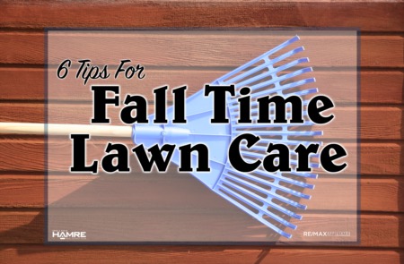 6 Tips for Fall Time Lawn Care