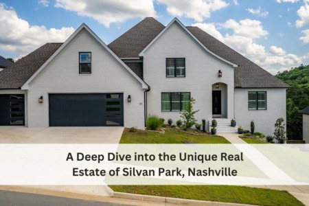 A Deep Dive into the Unique Real Estate of Silvan Park, Nashville