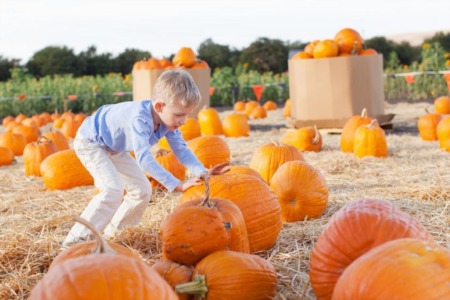 Calgary’s Top Family-Friendly Events & Festivities This Fall