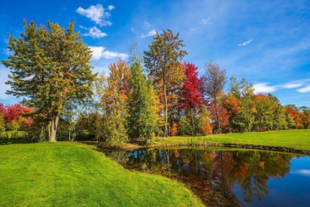 Search Calgary Golf Course Homes Under $800,000 in These Sought-After Communities 