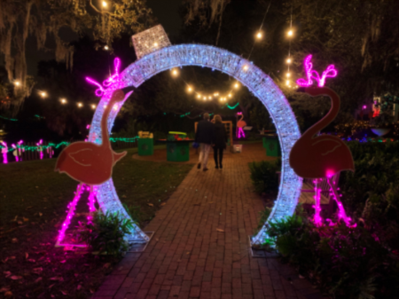 Selby Gardens Lights in Bloom Event