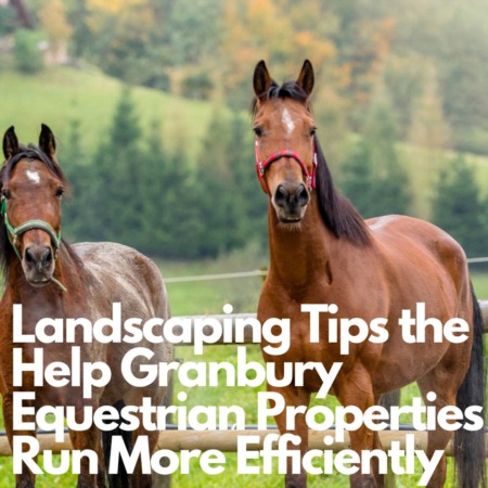 Landscaping Tips that Help Granbury Equestrian Properties Run More Efficiently