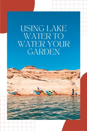 Using Lake Water to Water Your Garden