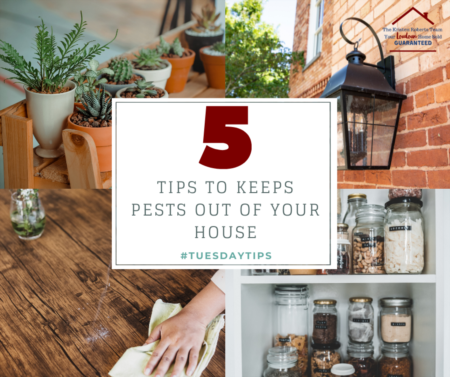 #TUESDAYTIPS 5 TIPS TO KEEP PESTS OUT OF YOUR HOUSE