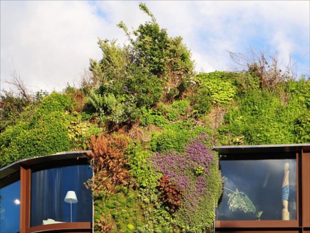 Is a 'Green Wall' a Good Selling Point for Luxury Real Estate?