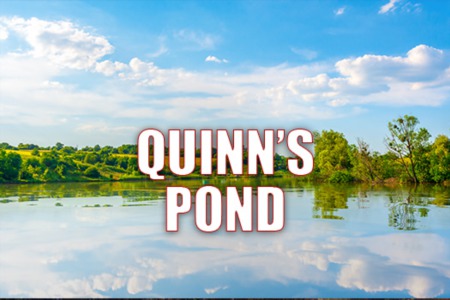 Quinn's Pond