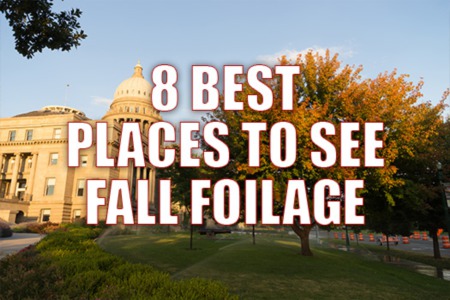 The 8 Best Places to Experience Fall Foliage in Boise