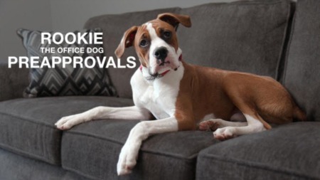 The Importance of a Preapproval.. by Rookie the Office Dog