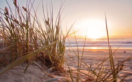 Peaceful Lewes Crossing Community Conveniently Located Just Four Miles from the Atlantic Shore
