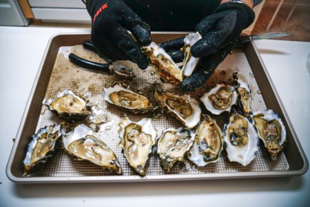 85th Georgetown Oyster Eat Scheduled for Friday, February 25, Less Than 20 Miles From Downtown Rehoboth Beach