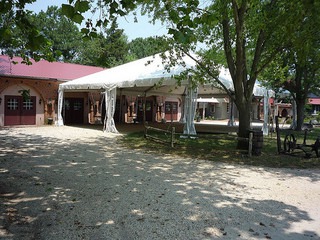 Touring Delaware Wine Country