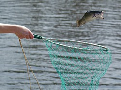 Is Delaware Home to Good Fishing Areas?