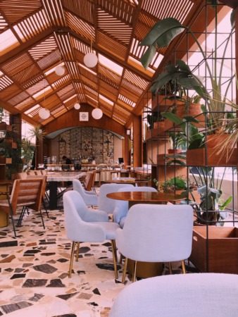 Restaurants in Springwoods Village - Spring TX