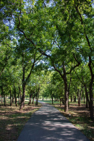 Dry Creek Village - Missouri TX Neighborhood