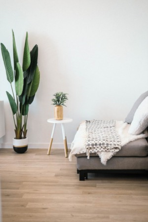 77389 Real Estate Market Update | August 28, 2023