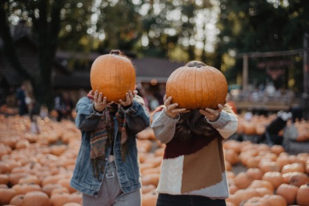 Looking for Fall family fun? | Pumpkin Patches in Houston TX | Things to do in Houston!