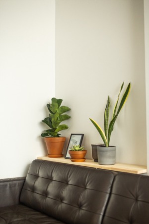 Where to Buy a Rental Property