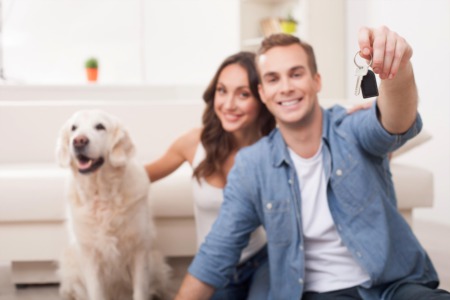 Do's And Don'ts for Moving With Pets in Memphis