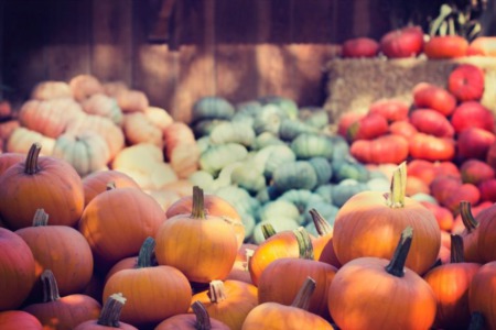 Pumpkin Patches, Corn Mazes & Fall Activities in San Francisco & the Bay Area for 2022