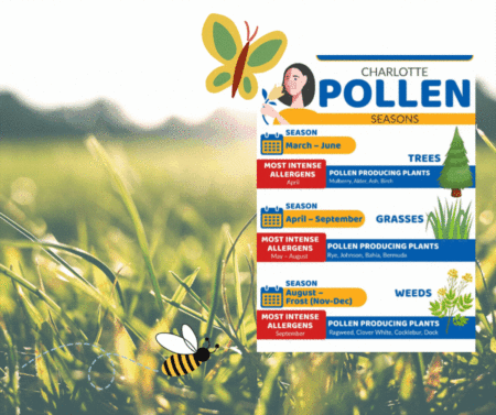 What you need to know about allergy season